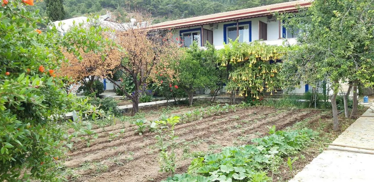 Hostel Ege Pansiyon Bodrum Turkey